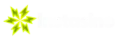 instasino casino